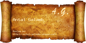 Antal Galamb névjegykártya